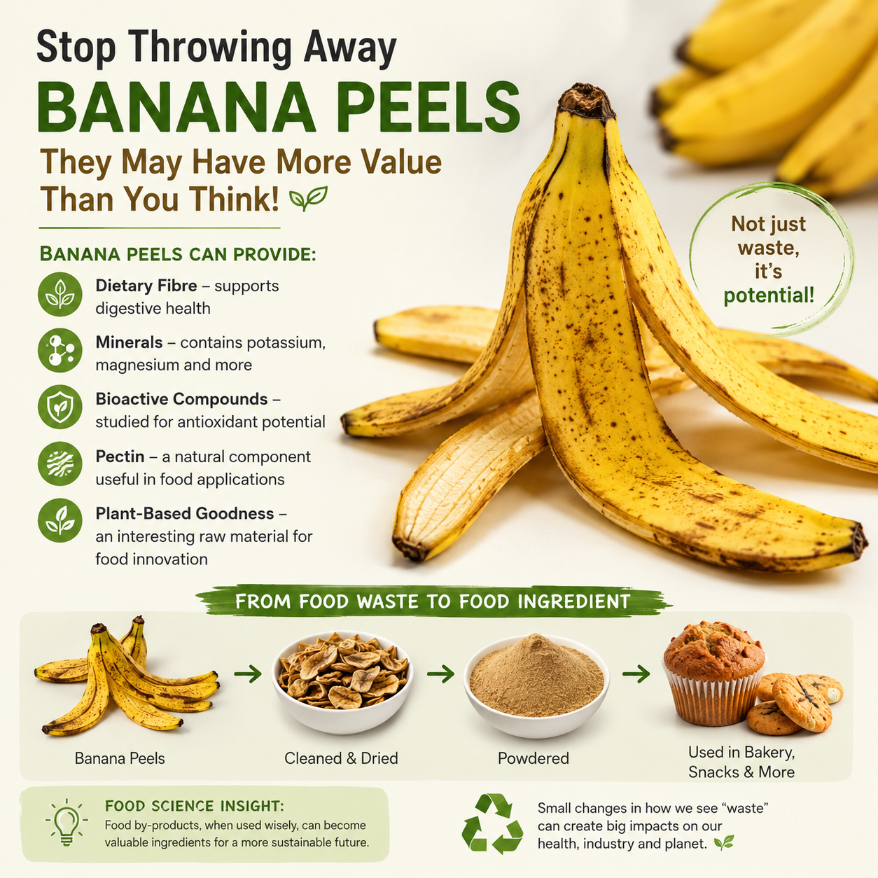 Basic knowledge of bananas, food waste, nutrition, and food processing is helpful, but no advanced knowledge is required.