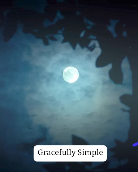 Gratitude